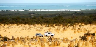 Samochody jadące przez pustynię Pinnacles w Australii Zachodniej