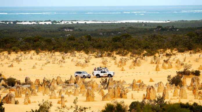 Najpiękniejsze trasy widokowe w Australii, które warto przejechać samochodem lub kamperem Samochody na pustynnym szlaku Pinnacles Desert z widokiem na ocean