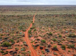 Outback bez tajemnic: co warto wiedzieć przed wyprawą w Czerwone Serce Australii Lotniczy widok na bezkresny australijski Outback i odludną drogę