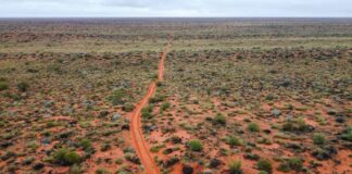 Outback bez tajemnic: co warto wiedzieć przed wyprawą w Czerwone Serce Australii Lotniczy widok na bezkresny australijski Outback i odludną drogę