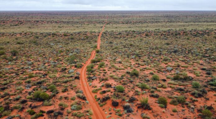 Outback bez tajemnic: co warto wiedzieć przed wyprawą w Czerwone Serce Australii Lotniczy widok na bezkresny australijski Outback i odludną drogę